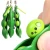 Import A1246 Infinite Squeeze Edamame Toys Peas Beans Pops It Figet Squishy Toy Decompression Squeeze Anti Stress Adult Figet Toys from China