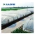 Import agriculture used single-span greenhouse material steel frame greenhouse structure with hydroponic system from China