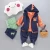 Import  website custom wholesale 2017 autumn or spring kids clothes boys cute print animal hoodies suit from China