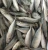 Import All Year Round  seafood frozen horse mackerel whole round fish from Philippines