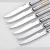 Import Amazon Hot Sales Set of 6PCS New Stainless Steel Laguiole Dinner Knifes from China