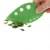 Import Amazon hot sell vetable leaf stripper from China