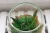 Import artificial ornamental plants succulent plants with grass pot series # 3 from China