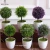 Import Artificial Plants Fake Mini Bonsai for Indoor & Outdoor Decorations from China