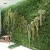 Import artificial plastic creeper boxwood hedge moss grass indoor plant vertical panels green wall system for decoration from China