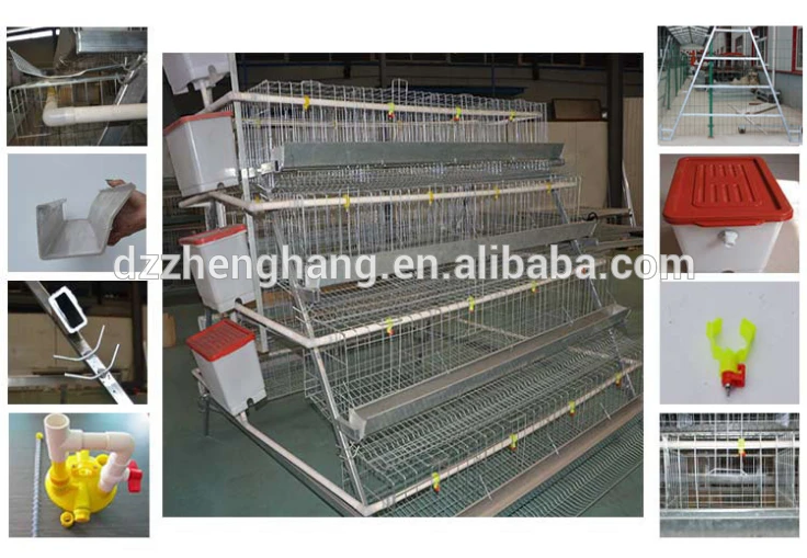 automatic design layer chicken cages/ commercial quail layer cage