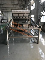 Automatic Shrimp Grading Sorting Machine/Prawn Processing Equipment/Vannamei Shrimp Cleaning Grader