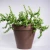 Import AYU26-010 wholesale cute rectangular plastic flower pot for balcony plant from China