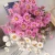 Import Baiyue Direct Supply Dry Natural Real Flowers Pink White Eternal Daisy Dried Preserved Rhodanthe from China
