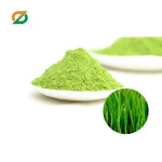 barley grass plantation barley grass china supplier alkaline green drink