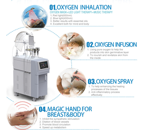 best effect portable hyperbaric oxygen tent for hospital use 9 IN 1 Oxygen jet peel device