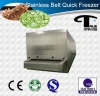 Best price and economical food freezing iqf tunnel belt freezer capacity 900kg
