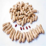 Best Quality Traditional Peanuts in Shell