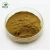 Import best selling products of fresh burdock root extract 10:1 burdock from China