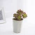 Import Best selling white plastic flower pot/ plant pot vase/ garden succulent pot from China