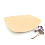 Biodegradable Food Grade Delicate Modern Fruit Vegetable Packing Bamboo Fiber Tray