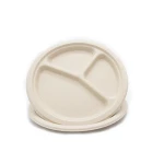 Biodegradable Plant Tray Bamboo Leaf Food Plated