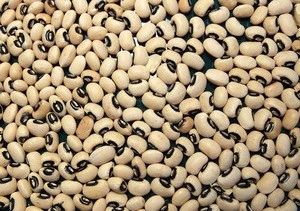 Black Eyed Beans For Sale At Affordable Prices
