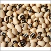 Black Eye Beans - Peru or other origin