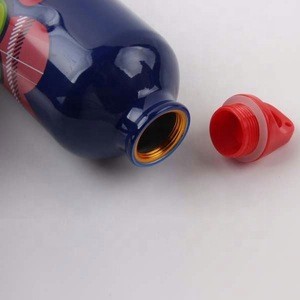 BPA Free Metal Aluminium Custom Sports Drink with Carabiner