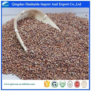 Bulk high quality red sorghum with reasonable price and fast delivery !!