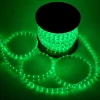 CE, RoHS, IP65 LED rope light for outdoor decoration