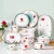 Import Ceramic Tableware Dinnerware Sets Handmade Plates Cups  Bowl  Plates Dinnerware from China