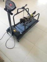 Cheap electric Dog Treadmill sport machine pet treadmill running Equipment for small dog