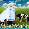 cheap farm slaughter house farm machinery agriculture equipment 10 Beef /Big Cattle, 30 hogs/Pig, or 50 Sheep/Goat per Day