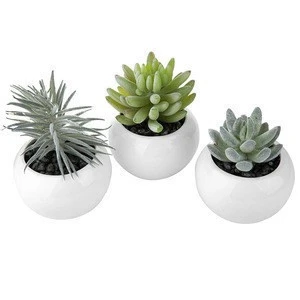 Cheap sell Artificial Ornamental outdoor Succulent Potted plastic plants in Mini White Ceramic Pots For Home Decor
