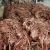 Import china CHEAP  copper scrap for sale from China