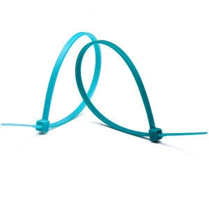 China Custom Color Plastic Eco-friendly Nylon Cable Tie Mount