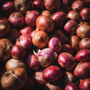 China exporters fresh red onions wholesale