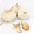 Import China garlic wholesale black  high quality garlic powde  Prices Supplier China Fresh Vegetables Garlic from China