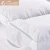 Import China Manufactory Two Layers 10% Goose Down Feather Mattress Topper,Wholesale Massage Mattress,Goose Down Filled Mattress from China