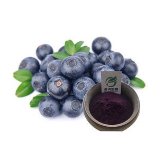 China manufacturer High Quality Blueberry powder for energy drink / Wild blueberry extract With Good Service