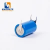 China Supplier Hot Sale Heat Meter Deep Cycle Battery with Terminals