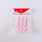 China Wholesale Market Agents Cleaning Teeth Dental Flosser