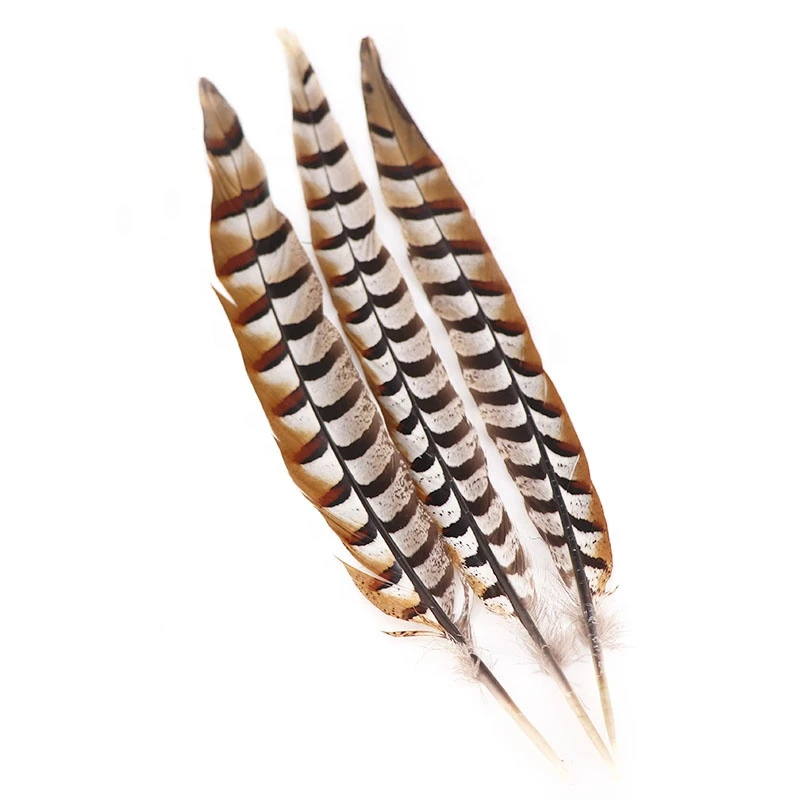 China Yiwu Factory Wholesale Reeves Pheasant Tail Feather 40-45cm Brown Jewelry Accessories DIY Clothing Accessories
