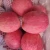 Import Chinese fresh fruit crispy fresh apple fruit Fuji apple from China