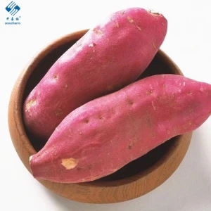 Chinese Yam Fresh Sweet Potato