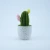 Import Clay Cactus Ornaments Desktop Decoration Handmade in China from China