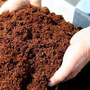 Coco Coir Peat / Coco Peat and Block Form 5kg coco peat