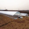 Commercial agricultural cheap plastic tunnel other greenhouse for sale