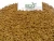 Import Common Fenugreek Seeds/ Raw Herb Exporter/ Spices from India