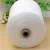 Import Competitive price High tenacity Raw white 100% polyester sewing thread on plastic cone from China