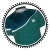 Import Custom Cricket Team Jersey Sublimation Cricket Shirts designs Uniform from Pakistan
