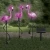 Import decorative energy saving flamingo solar garden light for outdoor park led solar powered pathway light from China