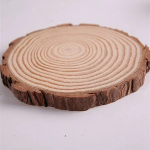 DIY Wooden Craft Natural Wood Slices for Christmas and Wedding Ornament