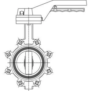 DN50 Nodular Cast Iron Lever Operated Lugged Butterfly Valve